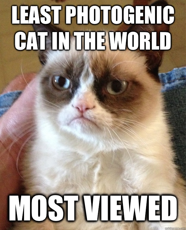 Least photogenic cat in the world This is the wors - grumpy cat