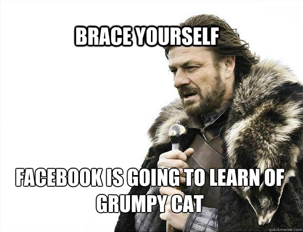 brace yourself facebook is going to learn of grumpy cat - BRACE YOURSELF SOLO QUEUE