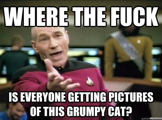 where the fuck is everyone getting pictures of this grumpy c - Annoyed Picard HD