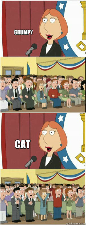 grumpy cat - 911 lois