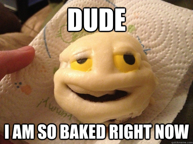 dude i am so baked right now -