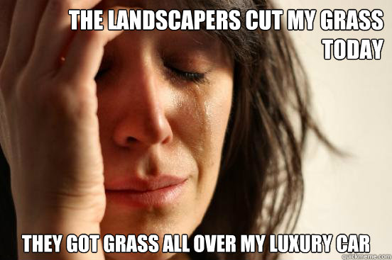 the landscapers cut my grass today they got grass all over m - First World Problems