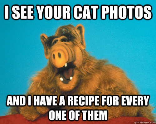 i see your cat photos and i have a recipe for every one of t -