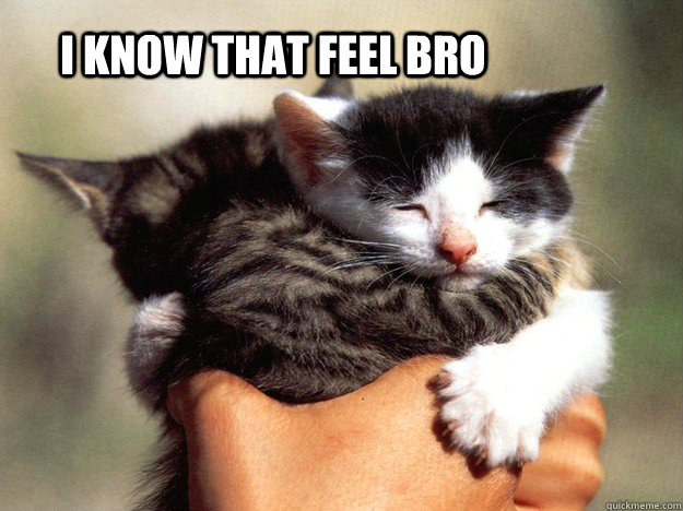 i know that feel bro -