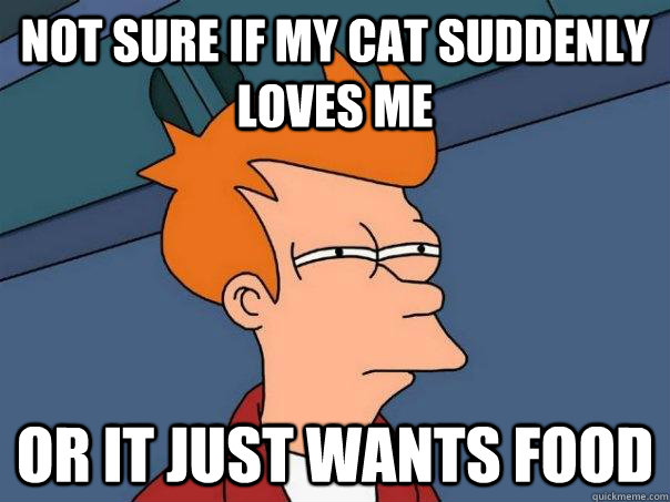 not sure if my cat suddenly loves me or it just wants food - Futurama Fry