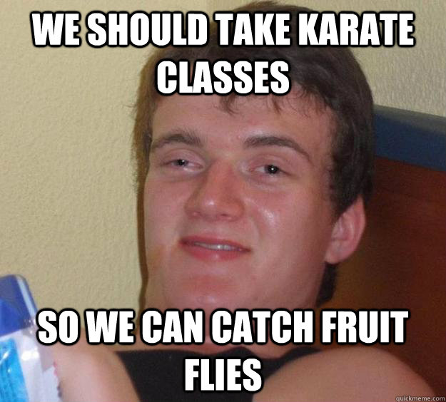we should take karate classes so we can catch fruit flies - 10 Guy