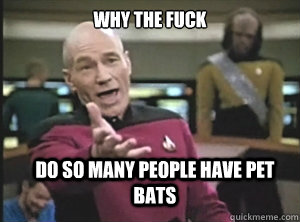 why the fuck do so many people have pet bats - Annoyed Picard