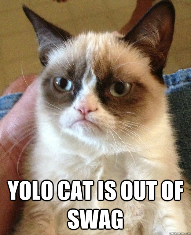 yolo cat is out of swag - Grumpy Cat