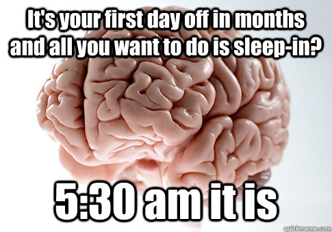 its your first day off in months and all you want to do is - Scumbag Brain
