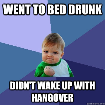 went to bed drunk didnt wake up with hangover - Success Kid