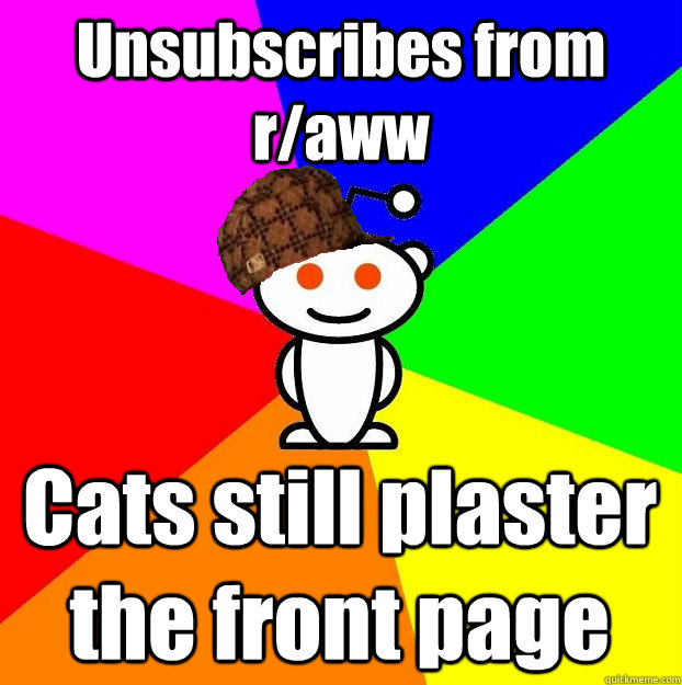 unsubscribes from raww cats still plaster the front page - Scumbag Redditor