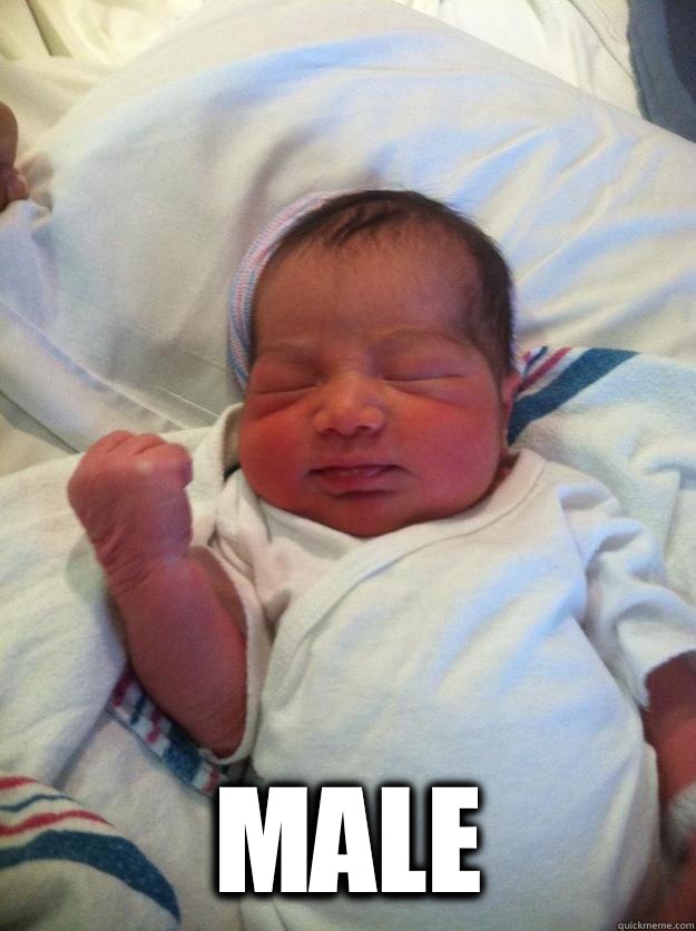 Male - Success Baby