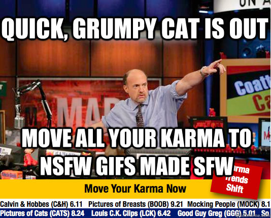 quick grumpy cat is out move all your karma to nsfw gifs ma - Mad Karma with Jim Cramer
