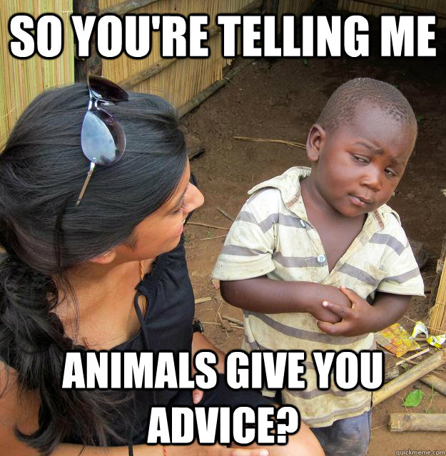 so youre telling me animals give you advice - Sceptical 3rd world child