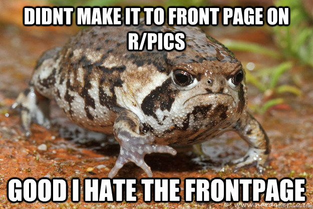 didnt make it to front page on rpics good i hate the frontp - Grumpy Toad