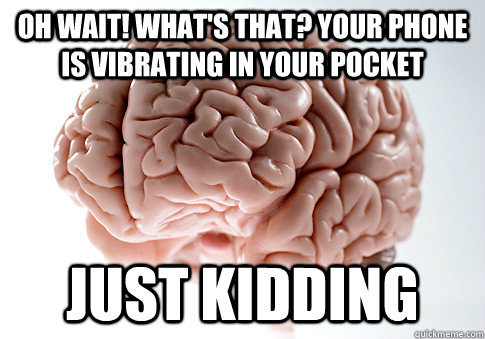 oh wait whats that your phone is vibrating in your pocket - Scumbag Brain
