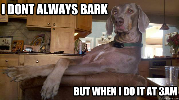 i dont always bark but when i do it at 3am - most interesting dog in the world