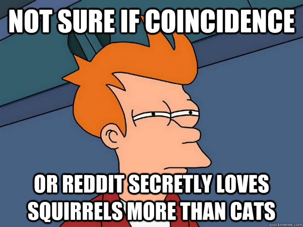 not sure if coincidence or reddit secretly loves squirrels m - Suspicious Fry
