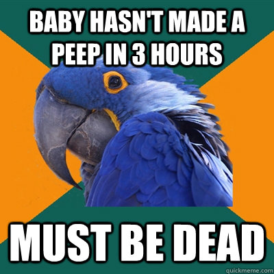 baby hasnt made a peep in 3 hours must be dead - Paranoid Parrot