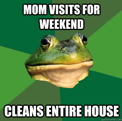 mom visits for weekend cleans entire house - Foul Bachelor Frog