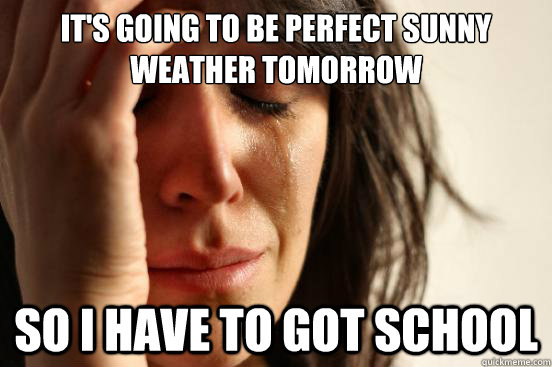 its going to be perfect sunny weather tomorrow so i have to - First World Problems
