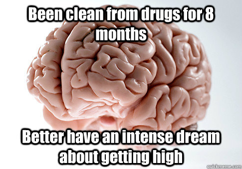 been clean from drugs for 8 months better have an intense dr - Scumbag Brain
