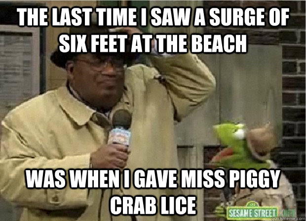 the last time i saw a surge of six feet at the beach was whe - Foul Storm Joke Frog