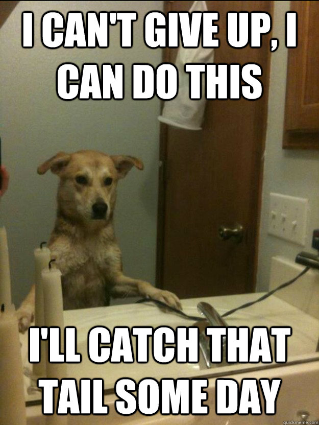 i cant give up i can do this ill catch that tail some day -
