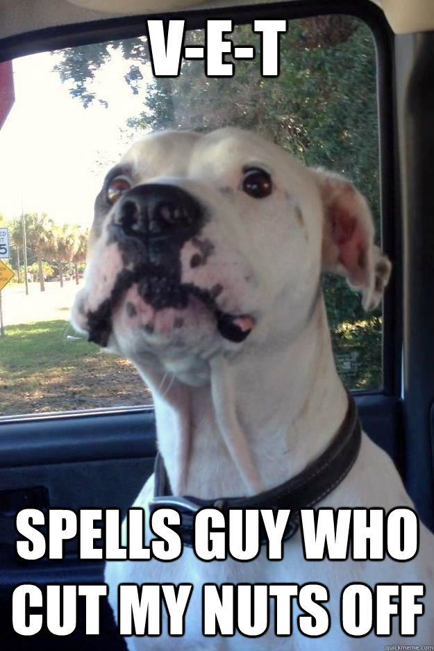 vet spells guy who cut my nuts off -
