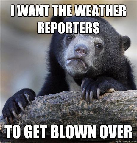 i want the weather reporters to get blown over - Confession Bear