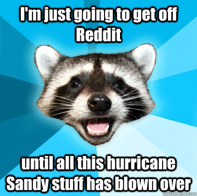 im just going to get off reddit until all this hurricane sa - Lame Pun Coon
