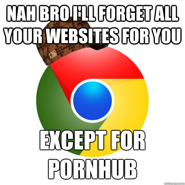 nah bro ill forget all your websites for you except for por - Scumbag Google Chrome