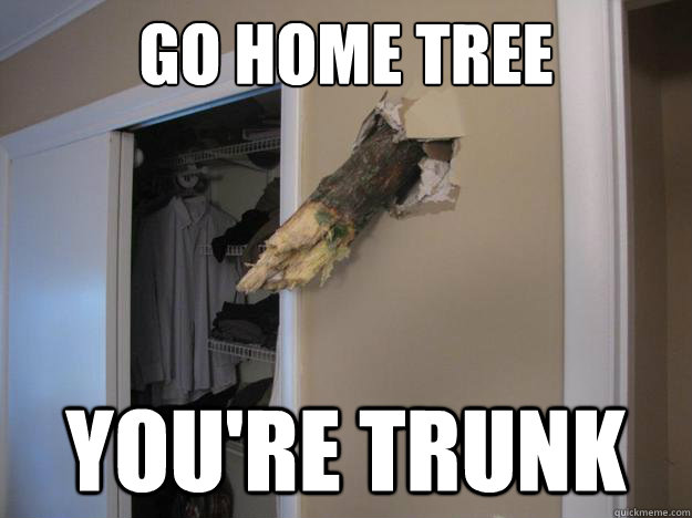 go home tree youre trunk - Sandy Drunk Tree