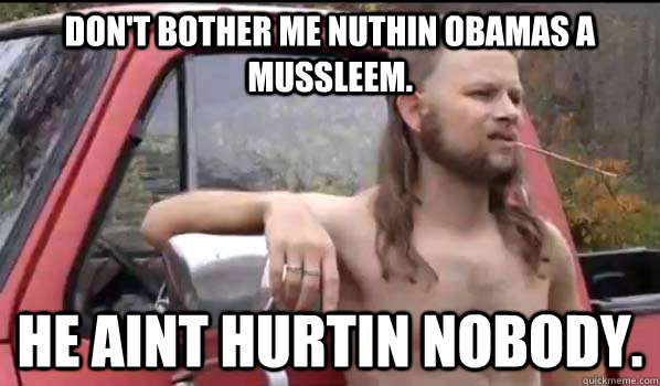 dont bother me nuthin obamas a mussleem he aint hurtin no - Almost Politically Correct Redneck