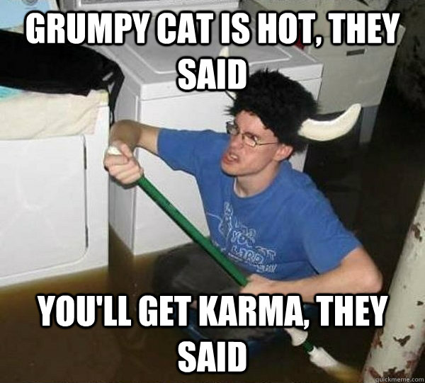 grumpy cat is hot they said youll get karma they said - They said