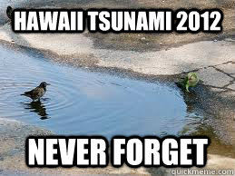 hawaii tsunami 2012 never forget - We will never forget Isaac!