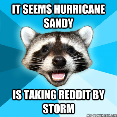 it seems hurricane sandy is taking reddit by storm - Lame Pun Raccoon