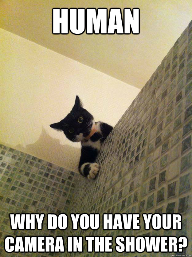 human why do you have your camera in the shower - Incredulous Cat