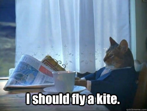 i should fly a kite - Fancy Cat