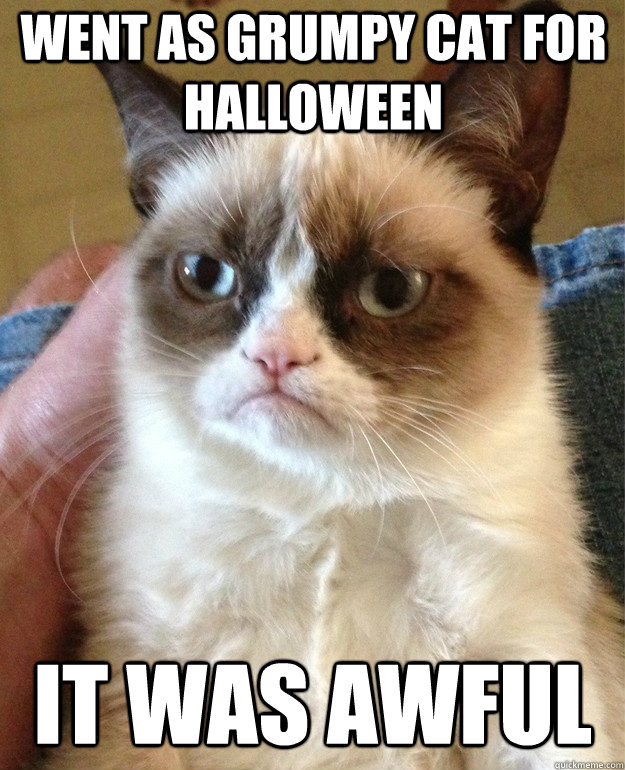 went as grumpy cat for halloween it was awful - Grumpy Cat