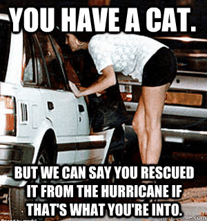you have a cat but we can say you rescued it from the hurr - Karma Whore