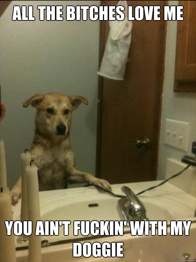 all the bitches love me you aint fuckin with my doggie -
