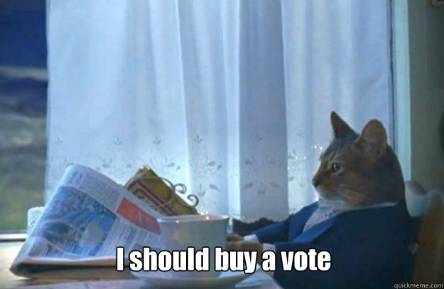 i should buy a vote - Sophisticated Cat
