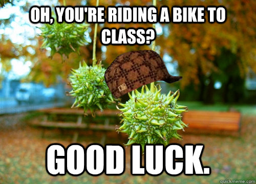 oh youre riding a bike to class good luck - Scumbag Sweet Gum