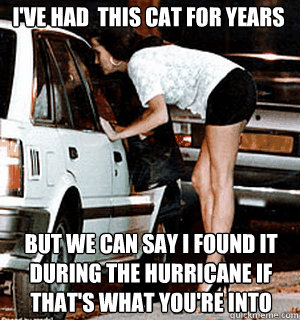 ive had this cat for years but we can say i found it durin - Karma Whore