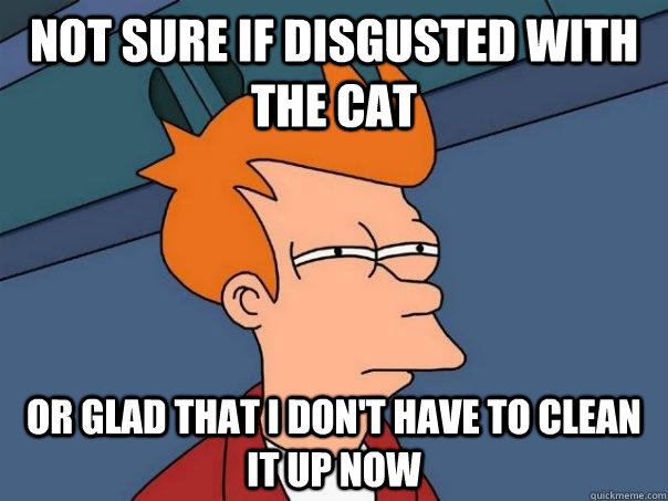 not sure if disgusted with the cat or glad that i dont have - Futurama Fry