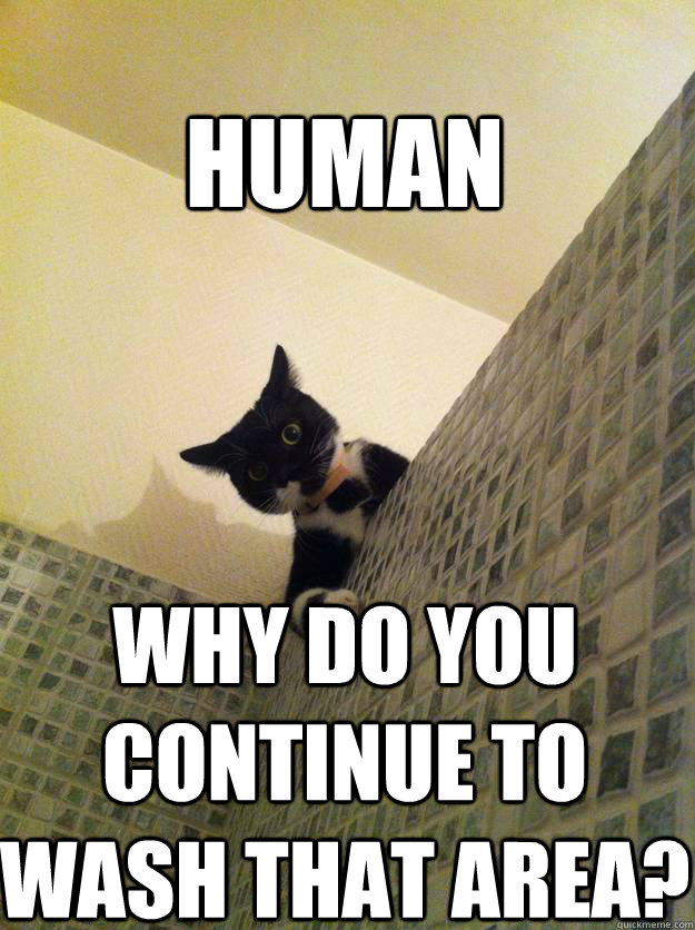 human why do you continue to wash that area - Incredulous Cat
