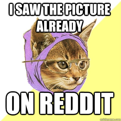 i saw the picture already on reddit - Hipster Kitty
