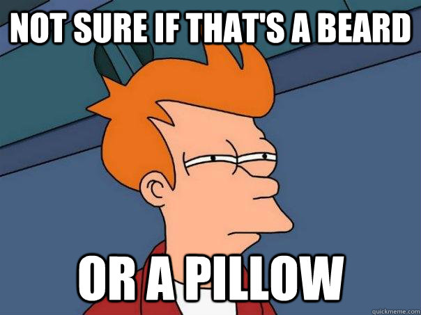 not sure if thats a beard or a pillow - Futurama Fry