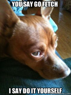 YOU SAY GO FETCH I SAY DO IT YOURSELF - get it yourself dog